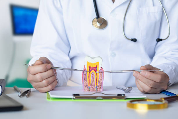 Best Emergency Dental Care for Broken or Chipped Teeth in Conyngham, PA